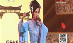 二人转总动员｜勇摘桂冠：王春雨 演绎吉剧《包公赔情》