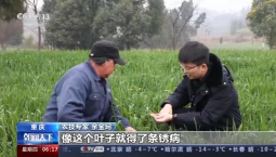 春耕正当时 多地按下备耕“启动键”