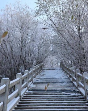 十月仙峰迎初雪 雪岭“雪淞”惹人醉