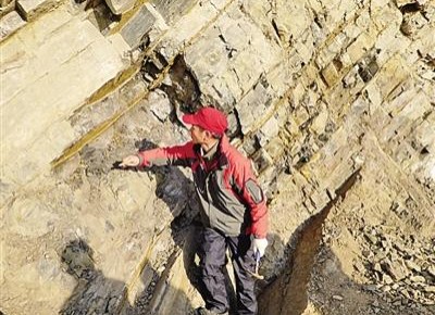 最新研究发现：史上首次生物大灭绝持续仅二十万年