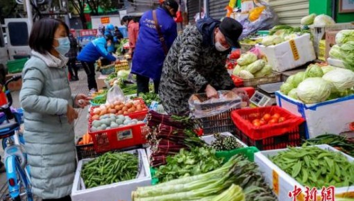 农业农村部：强化蔬菜等产品生产保供